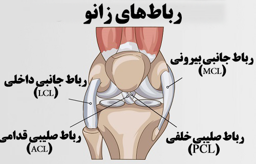 knee-ligament-injury-1.png